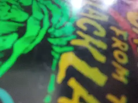 Kapibembaのウェブカメラショー
