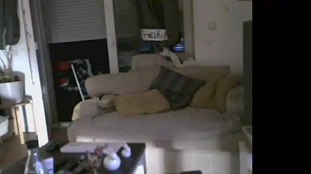 B-A-M-B-I Webcam show