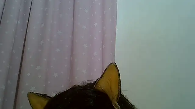 Chat XXX ao vivo de SkinnyKitten