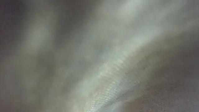 ROOKERT's Live XXX Chat