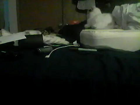 Silencio26 Pertunjukan Webcam