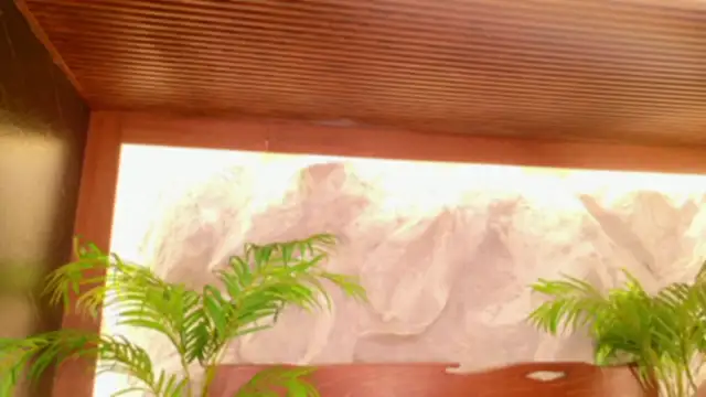 Chat +18 de alisonn_moon ao vivo