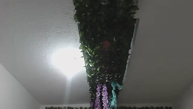Chat +18 de adara_cute_69 ao vivo