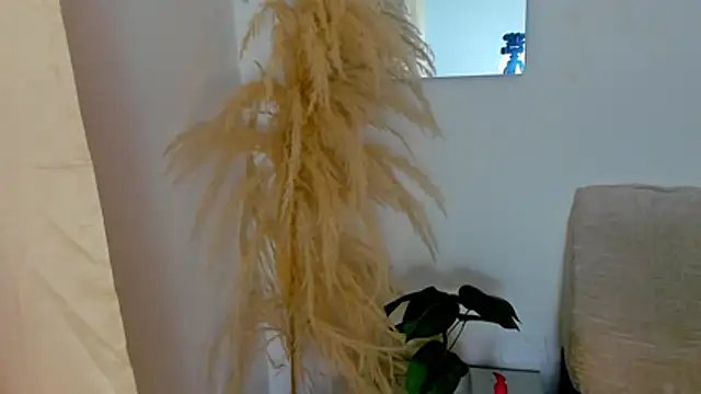 Naomy_4's Live XXX Chat