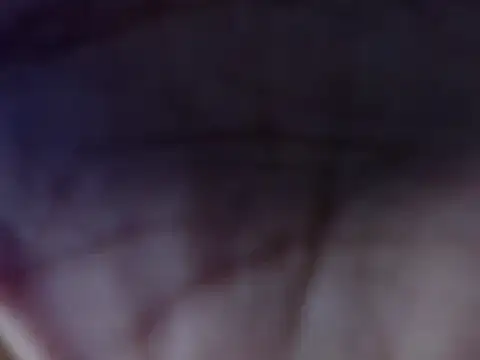 angelfoxxxxx's Live XXX Chat