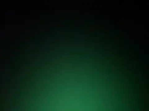 anime221 Webcam Show
