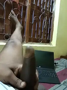 Vilge-star Show Webcam