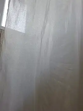 TirelessLot3 webcam show