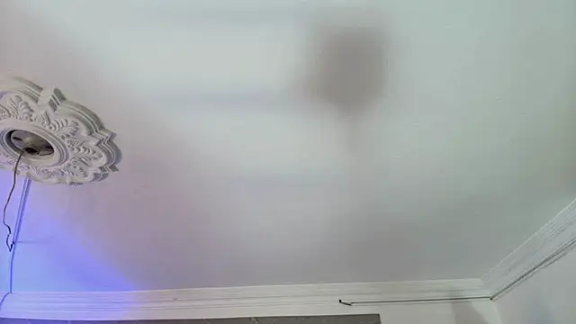 Chat +18 de Jhon_and_Karol ao vivo