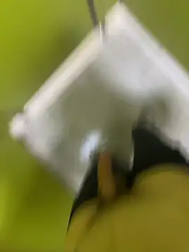 SXkinkyturk লাইভ XXX চ্যাট