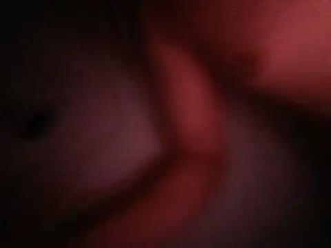 pandaMontana Webcam-Show