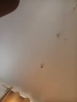 lavbird Chat XXX live