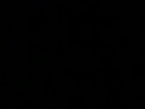 عرض كام BlackXx666Xx