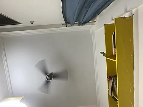 Chat +18 de avnikaur ao vivo