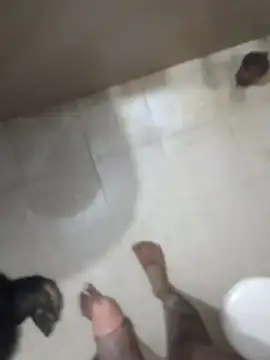 boy7inche 网络视讯表演