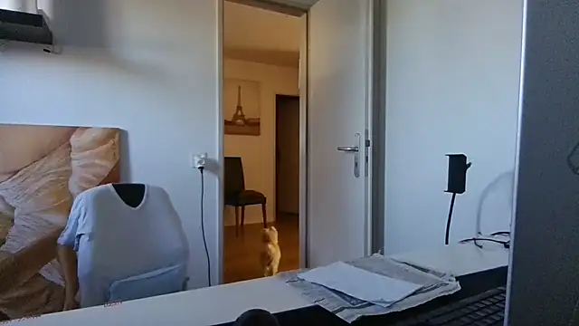 alpha-hunk Show Webcam