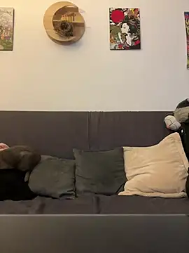Živý XXX chat Alicedomi8