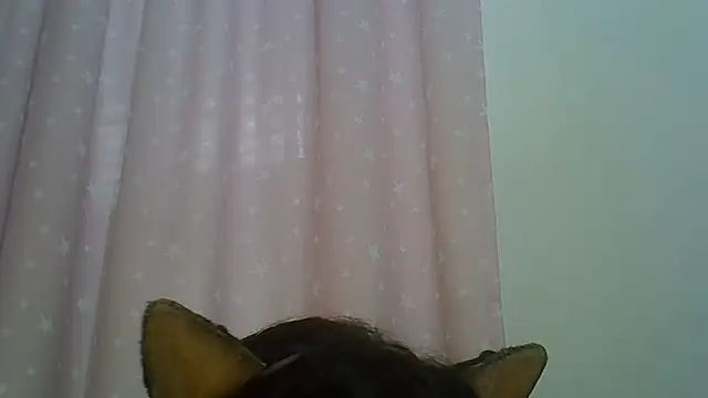 Chat XXX ao vivo de SkinnyKitten