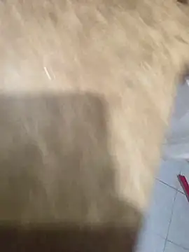 dream_catcher ওয়েবক্যাম শো
