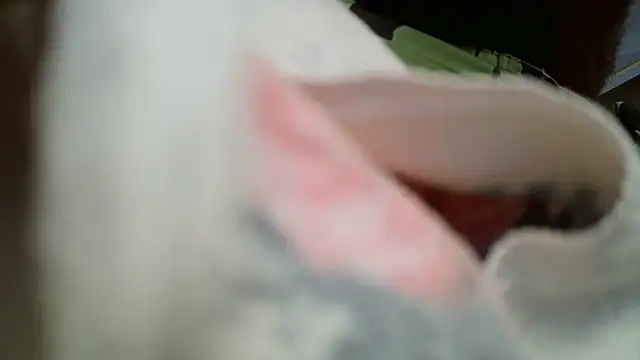 Ragahotitalia Webcam show
