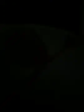 TeddyLover5 Show in webcam