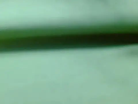 XXX chat uživo modela Mafe_Taylor