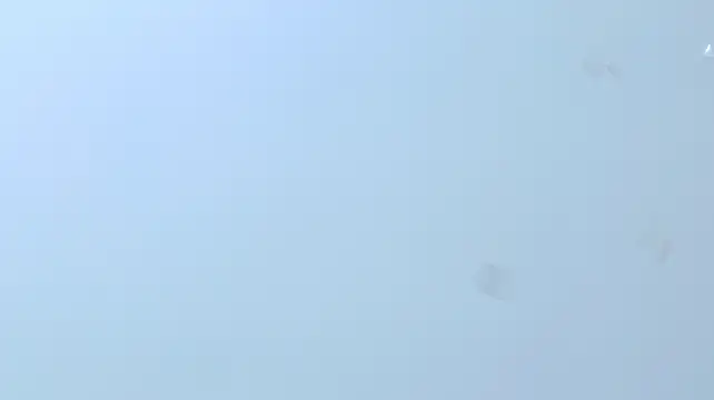 MeliissaAdamss élő XXX-chatje