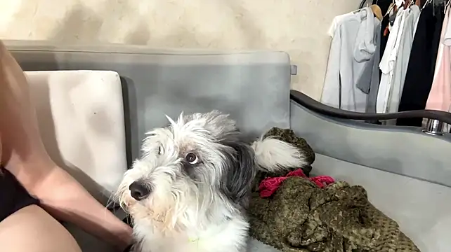 FrederickaAquilera Adlı Modelin Canlı XXX Sohbeti