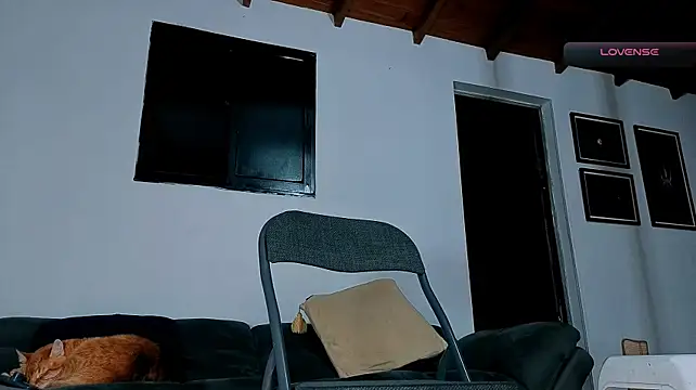 SilvaBranko Live XXX-chat