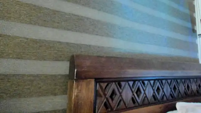 Sembang XXX Secara Langsung Ariella_tits
