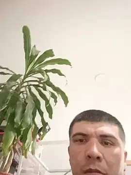 Toscarz8v – webcam-show