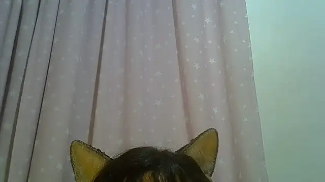 Chat +18 de SkinnyKitten ao vivo