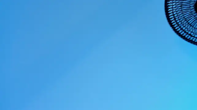 rousemonroe Live XXX-Chat