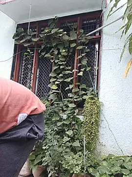 8inch_hunk19 লাইভ XXX চ্যাট