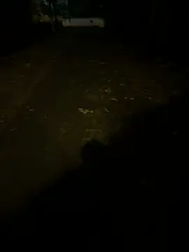 Živý XXX chat TonnyBottom