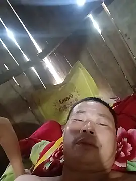 Jery-jays Pertunjukan Webcam