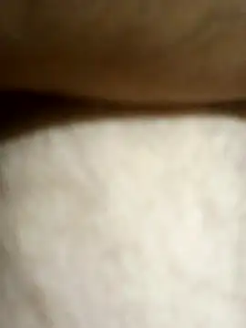 Elchabondestrip – Live XXX-chat