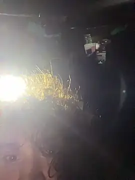 Teddy4420 라이브 XXX 채팅