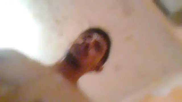 XXX chat uživo modela littleKingfire