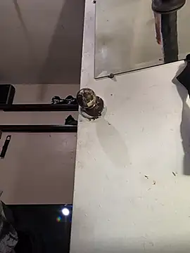 Cnutt310 XXX чат на живо