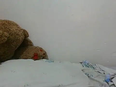 shugabaibe's Live XXX Chat