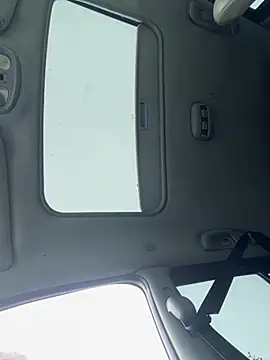 Chat +18 de Alimela ao vivo