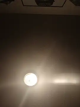 blasphemousのウェブカメラショー