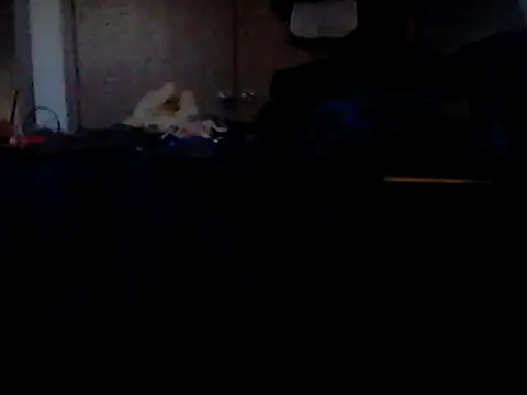 Silencio26 Chat XXX live