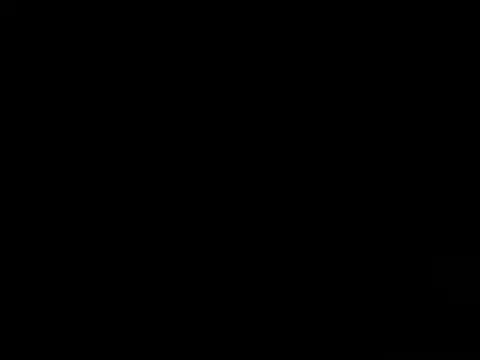 goldcoast0_2 – webcam-show