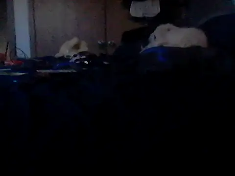 Silencio26's Webcam Show