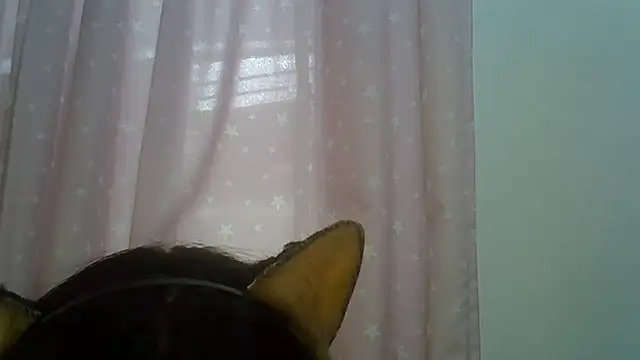 Show de SkinnyKitten na webcam