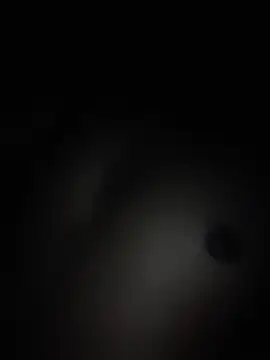 Roy8783's Live XXX Chat