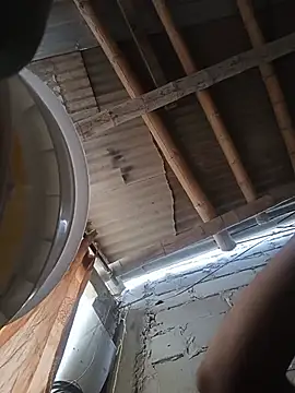 Chat +18 de paxxvo ao vivo