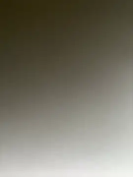 TheDime's Live XXX Chat